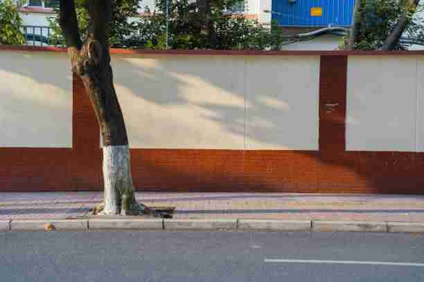 《每日大赛黑料》全记录——凭什么爆火