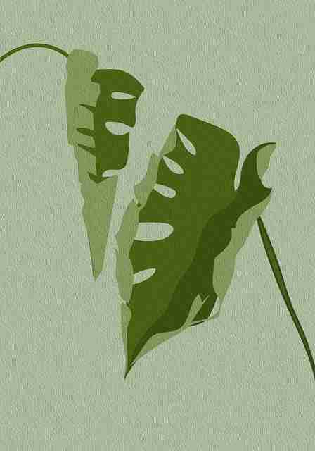 巨献 海角网不可错过：超详解析