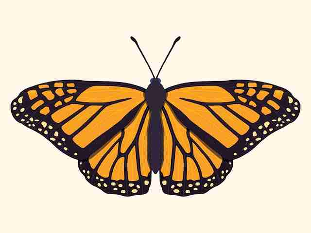 旗舰版·91官网亮点合集｜2025版