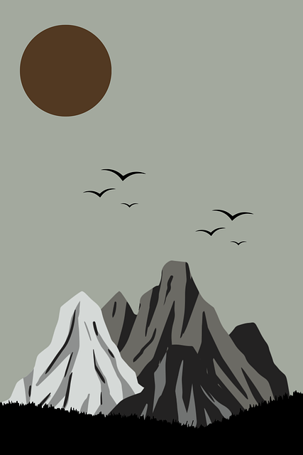 从算法推荐看每日大赛黑料，避坑指南