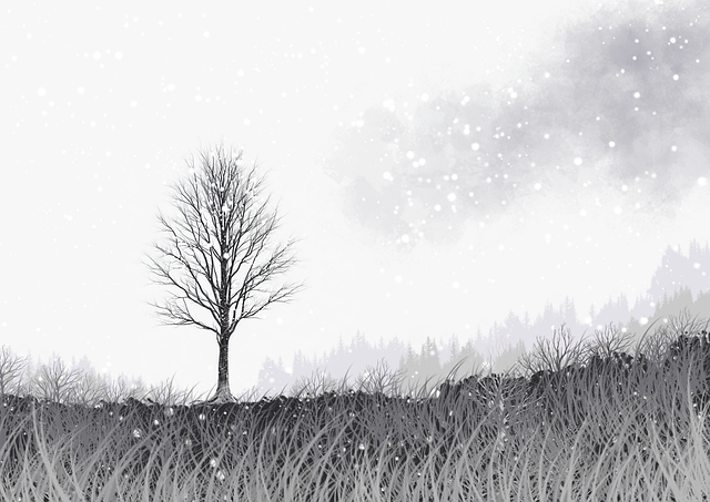 100个理由告诉你每日大赛在线观看 带你看透全部细节