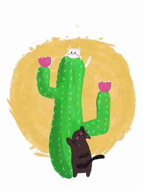 2024年P站引爆价值解读：117招秘籍