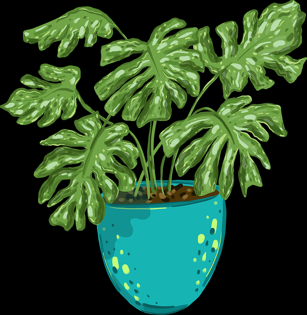 P站×创作者策略：2024爆款逻辑《真相》